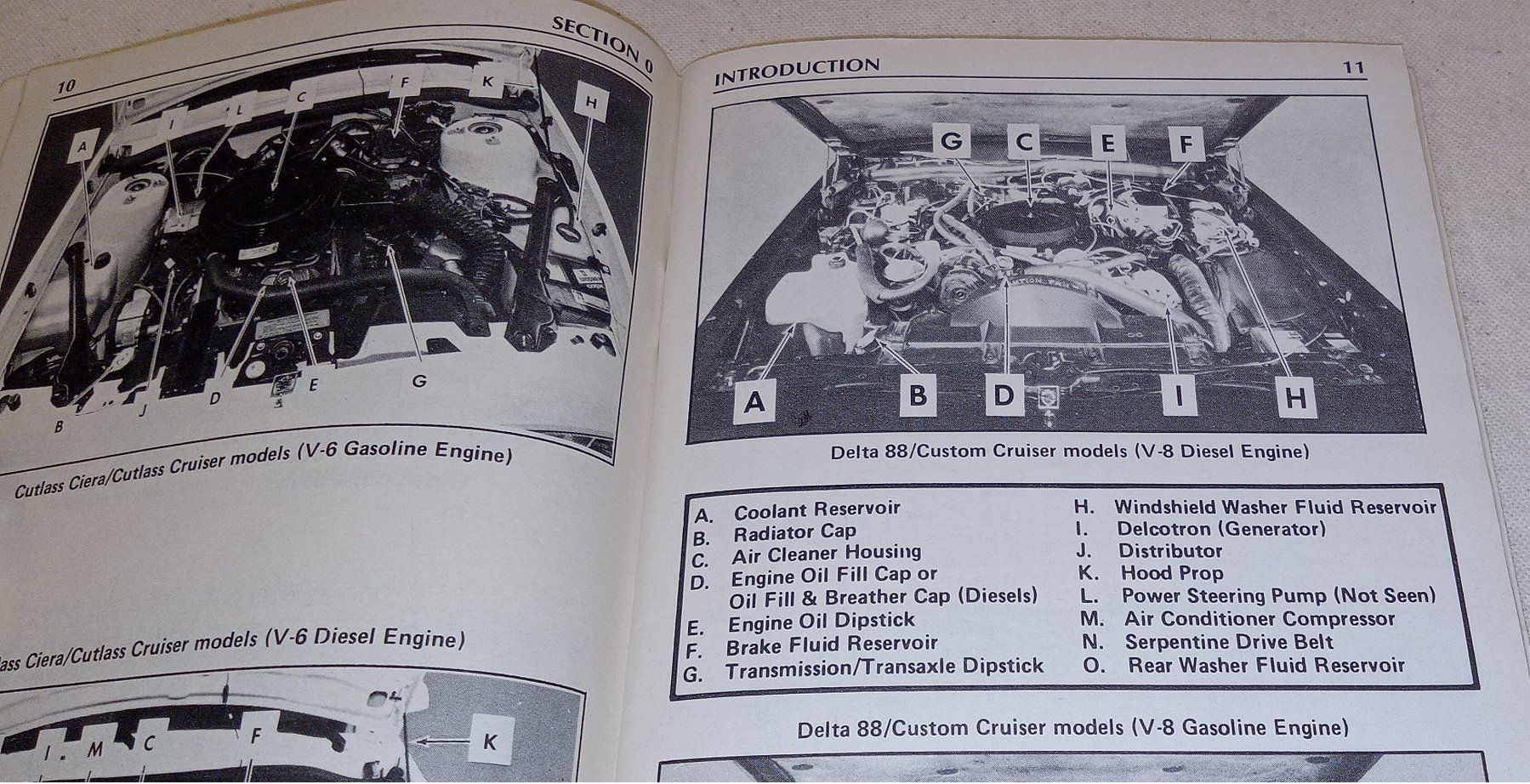 Libri: 1984 OLDSMOBILE  Owner's Manual  SUPPLEMENT – Usato da Hätzingen venduto da memory-lane 2