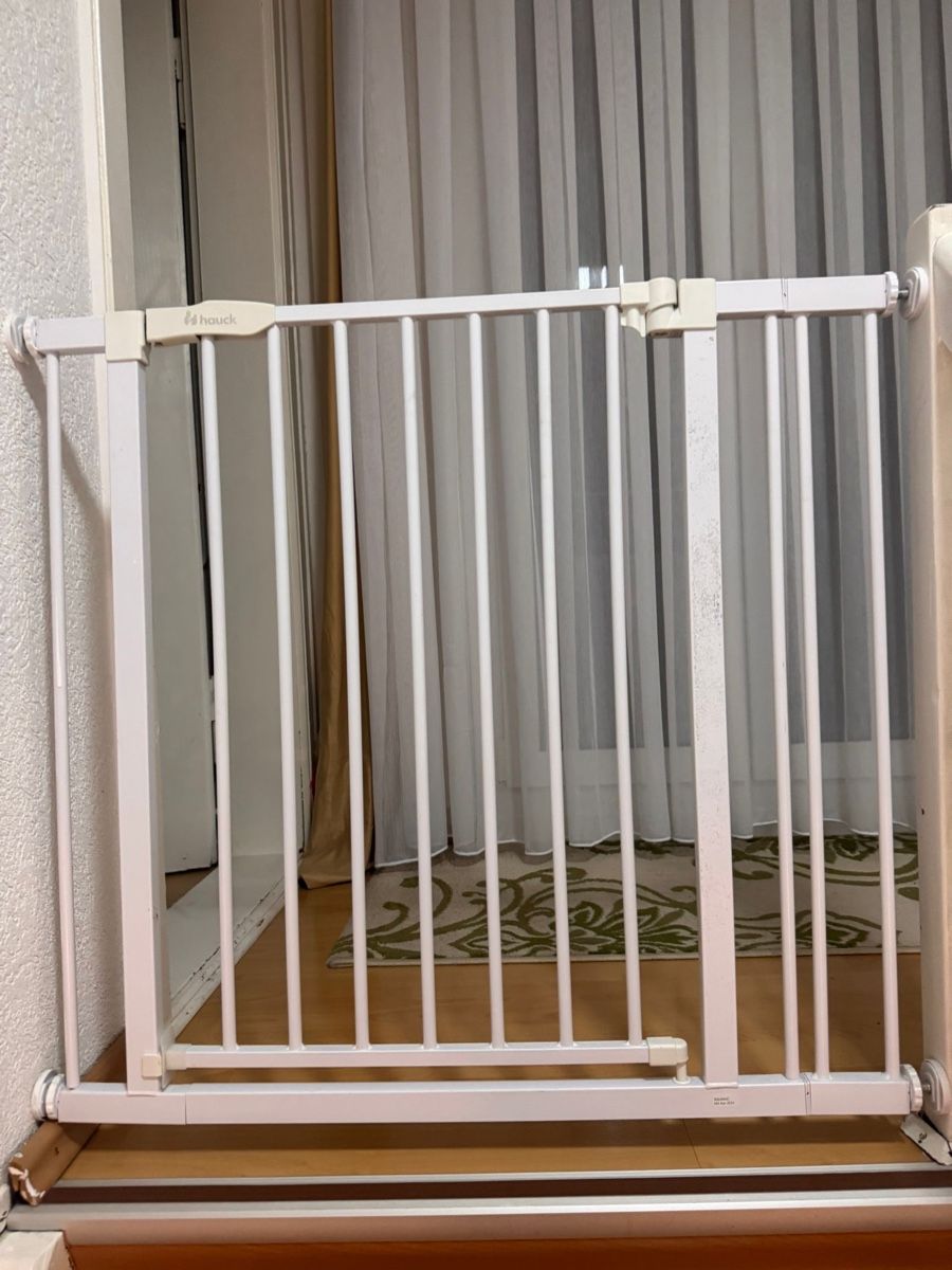 Porte: Türschutz Gitter – Usato da Willisau venduto da aid_v56b
