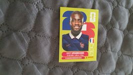 Panini Sticker WM 2026 - FRA 7