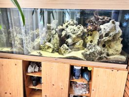 Tolles 450l Aquarium mit Inhalt und Unterschrank 