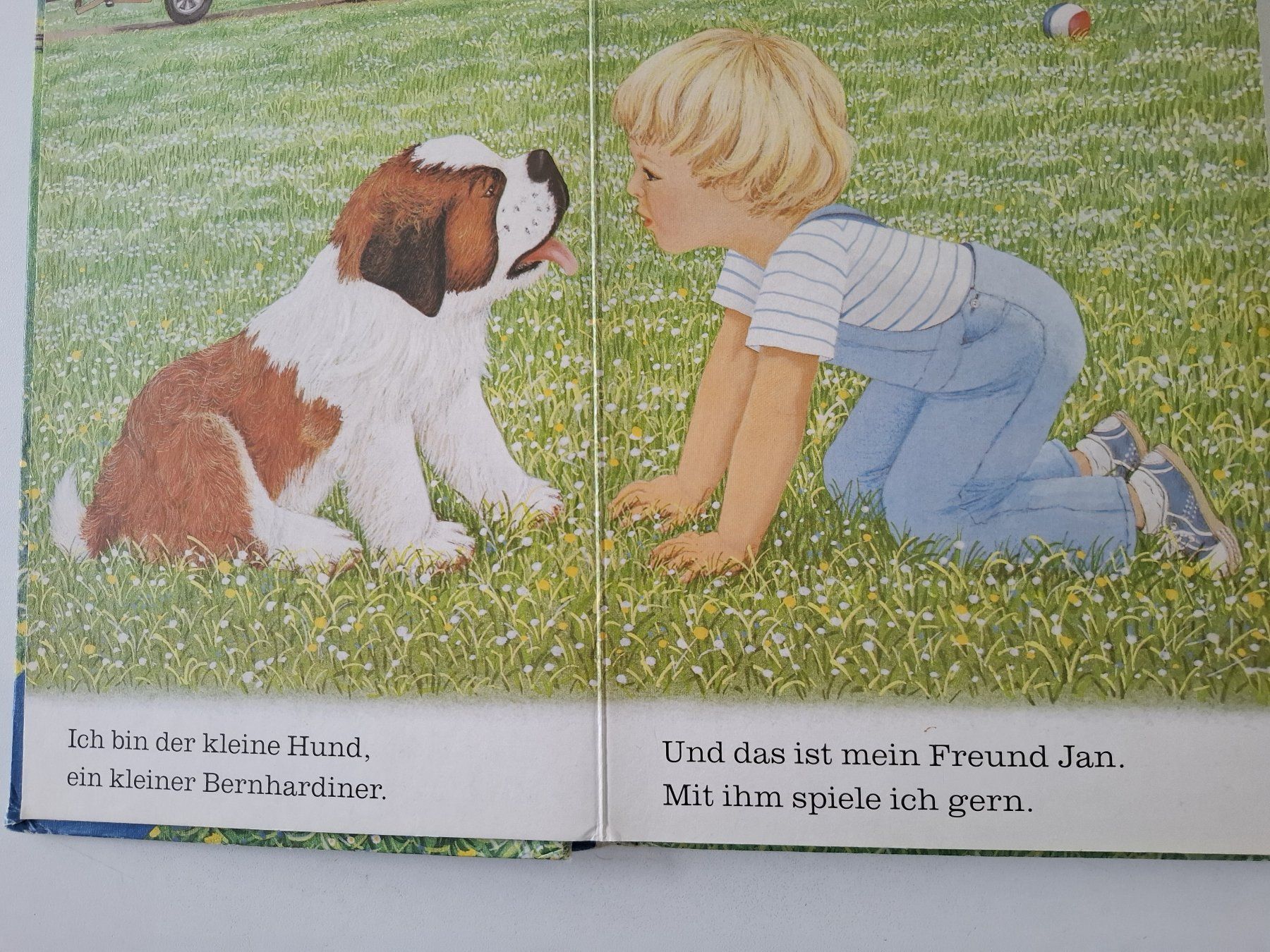 Libri: Bilderbuch Kinder mit Text – Usato da Uster venduto da Bachtel_2006 3