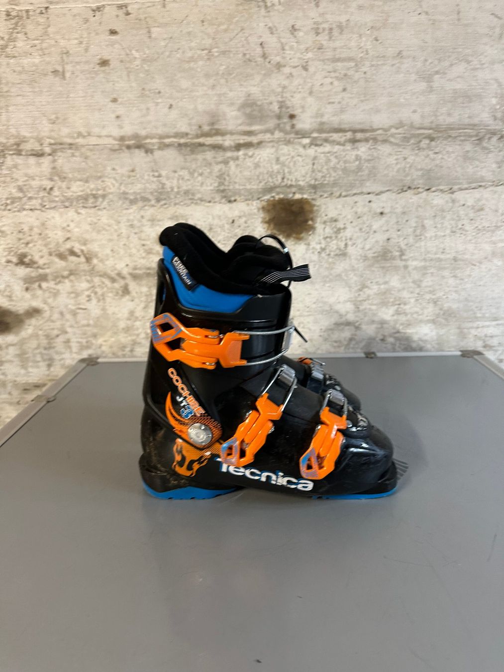 Tecnica Schuhe für Jungen: Tecnica Skischuhe Kinder 23.5 / Gr. 37 – Gebraucht aus Emmenbrücke von karkarkar 2