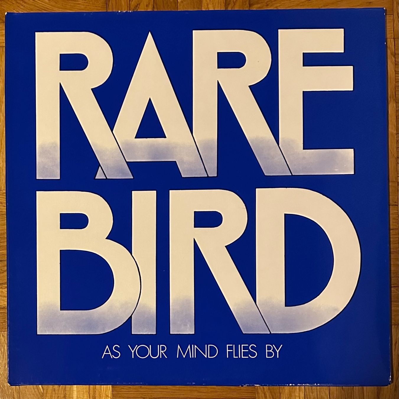 Schallplatten: LP - Rare Bird - As Your Mind Flies By – Gebraucht aus Breganzona von Onairda75