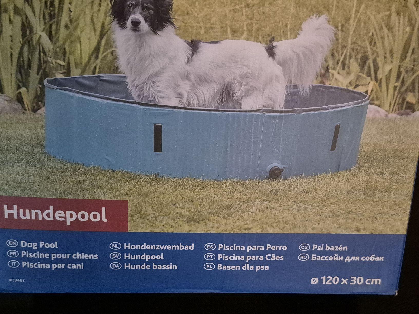 Piscine: Hundepool 120x30 – Usato da Volketswil venduto da Ch8604