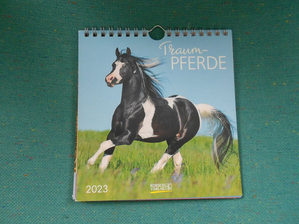 Kalender 2023 - Traumpferde  Kaufen auf Ricardo