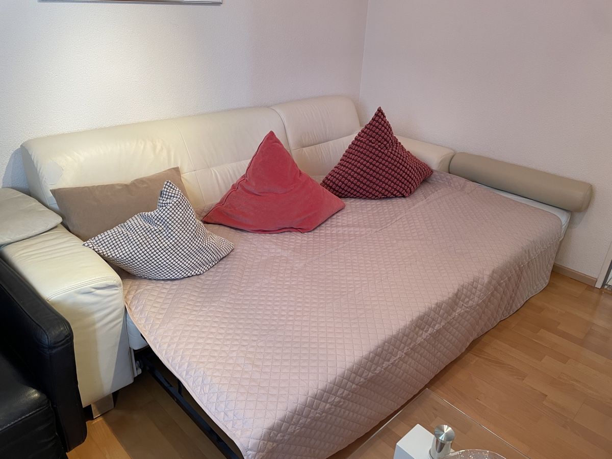 Divani: Bettsofa für WG – Usato da Oberrohrdorf venduto da Schnoitzel 3