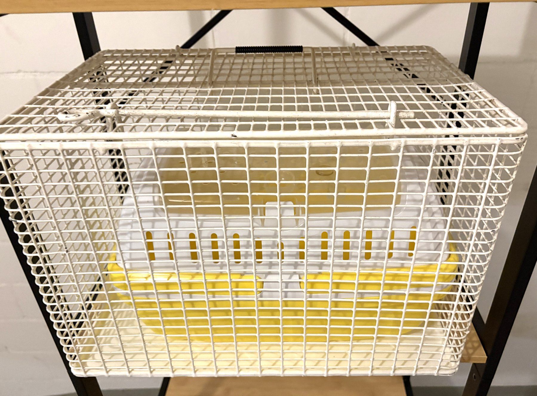 Gabbie, trasporto & Sicurezza: Tier Transportboxen 2 Stück – Nuovo e nell'imballaggio originale da Glattbrugg venduto da Ariel012 5