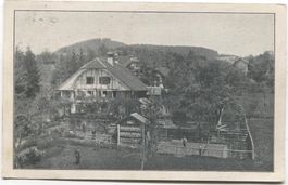 LANDWIRTSCHAFT/BAUERNHAUS 1924 mit Bienenhaus Riggisberg BE?