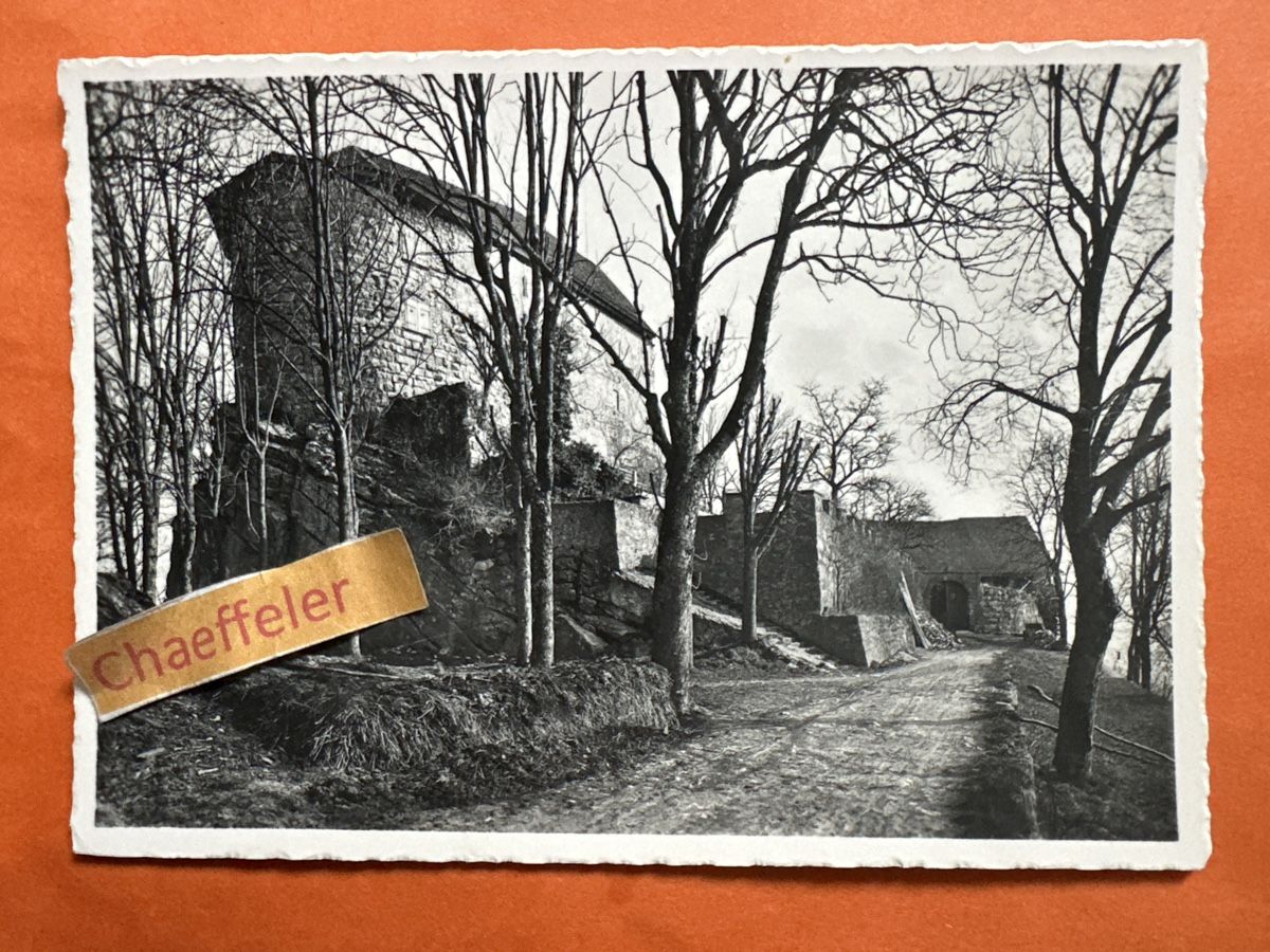 Cartoline postali: Schloss Brunegg Aargau – Usato da Zürich venduto da Chaeffeler
