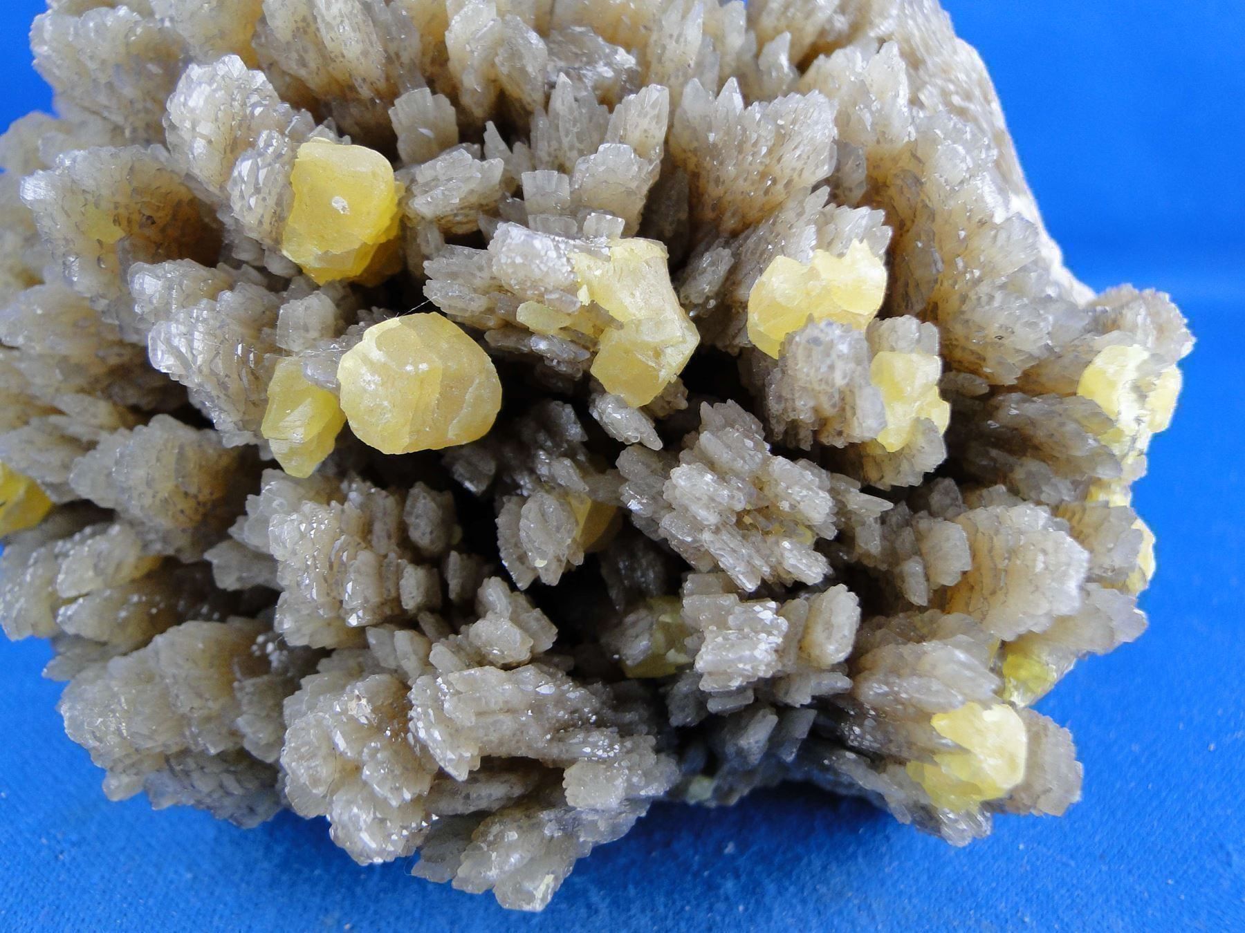 Minerali & Pietre curative: Schwefel auf Baryt – Usato da Schinznach Bad venduto da Demerald 3