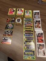 Panini Sticker + Coca Cola