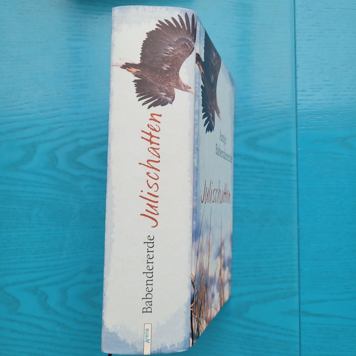 Bücher: Julischatten- Antje Babendererde – Neu (gemäss Beschreibung) aus SCHÜBELBACH von CoKaHa 2