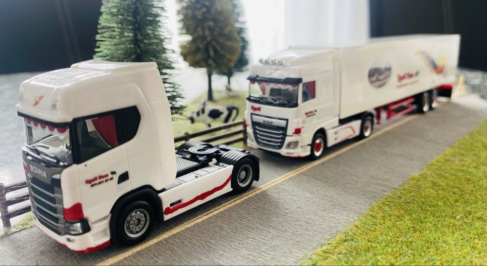 Herpa Scania,Daf Dysli Bern 1:87 (Gebraucht) in Rüdtligen für CHF 14 ...