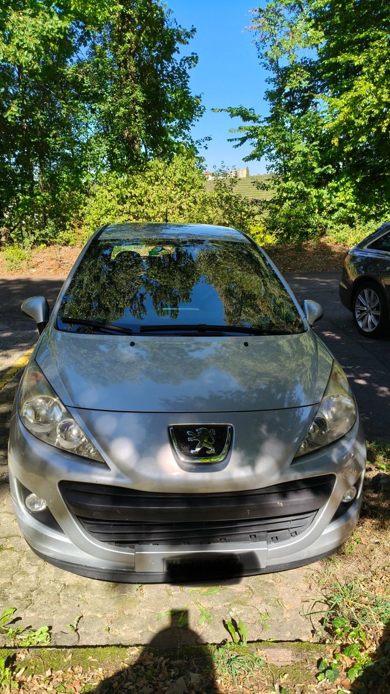 Peugeot Automobili: Peugeot 207 – Usato da Langwiesen venduto da vel_8dp8 1