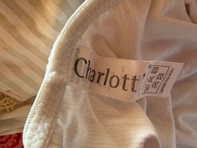 Altra biancheria intima: Lot de 12 Slips dame Charlott – Usato da Enges venduto da cordec 1