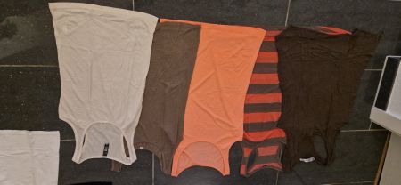Tŕägershirtset