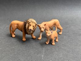 Schleich Löwe Familie Löwin Löwen