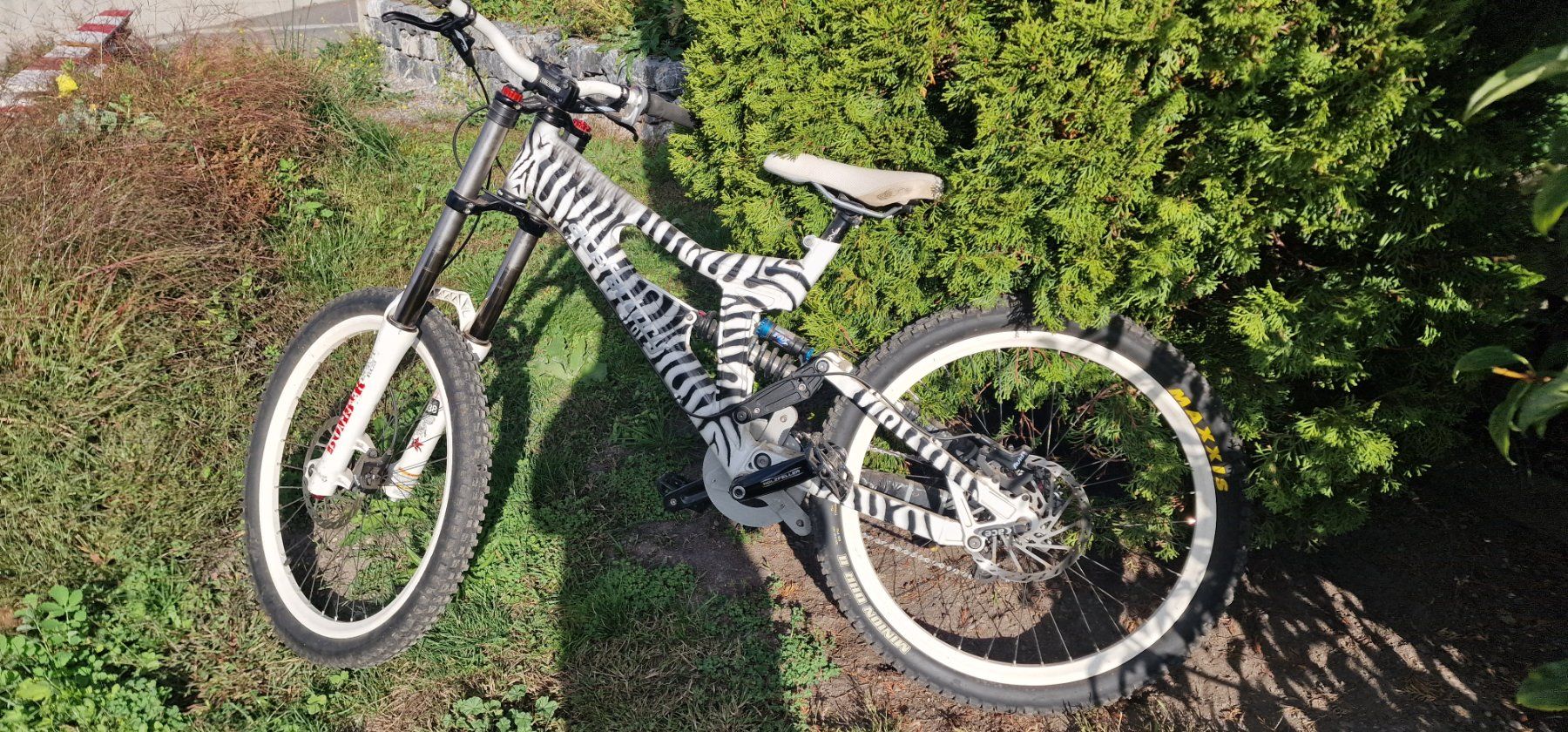 Velos: Downhillbike Acefactory – Gebraucht aus Brienz BE von Mojito91