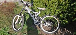Downhillbike Acefactory