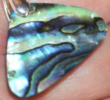 Anhänger L-5654 – Abalone Muschel 20x30mm