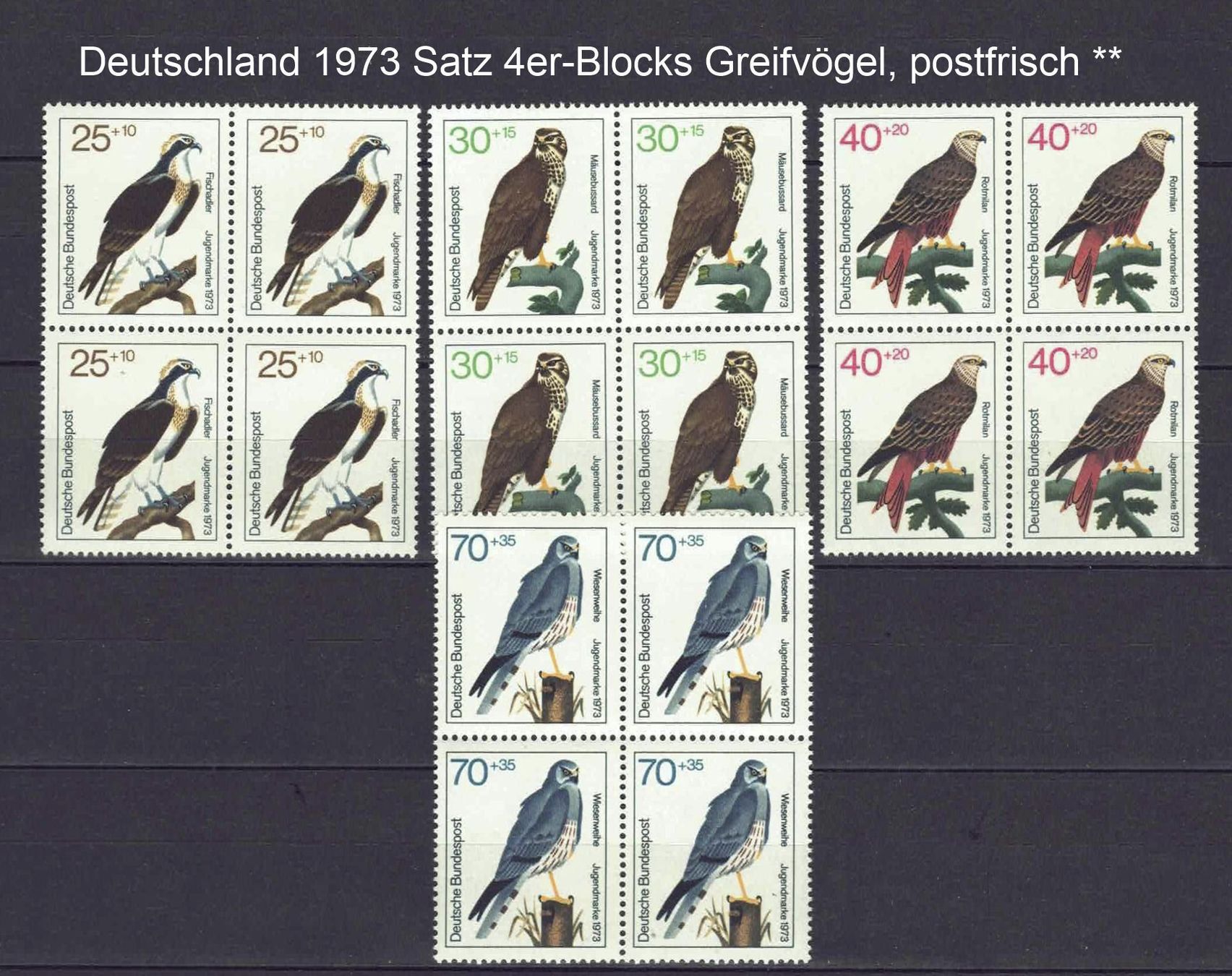 Tutti i francobolli: BRD 1973 Satz 4er-Blocks Greifvögel postfr** – Usato da Basel venduto da Pfefferschootte