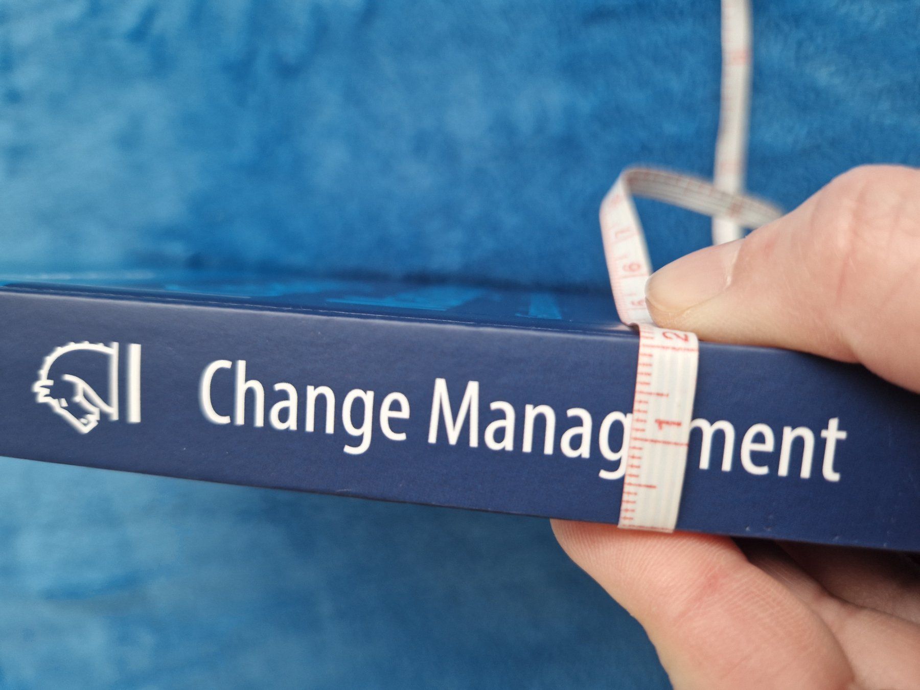 Libri: Change Management - Thomas Lauer – Usato da Erlinsbach SO venduto da ULIKH 5