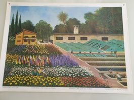 Schulwandbild Nr. 181 Gärtnerei im Tessin