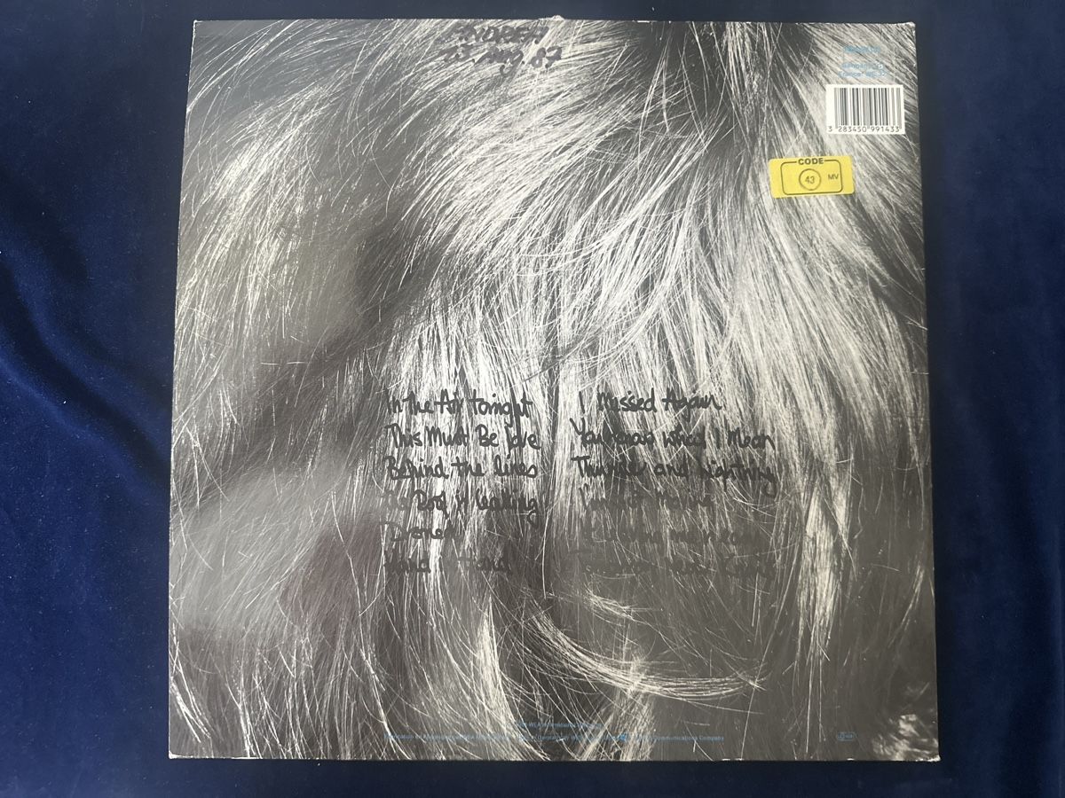 Dischi in vinile: Vinyl Platte Phil Collins Face Value  – Usato da Zürich venduto da Chaeffeler 2