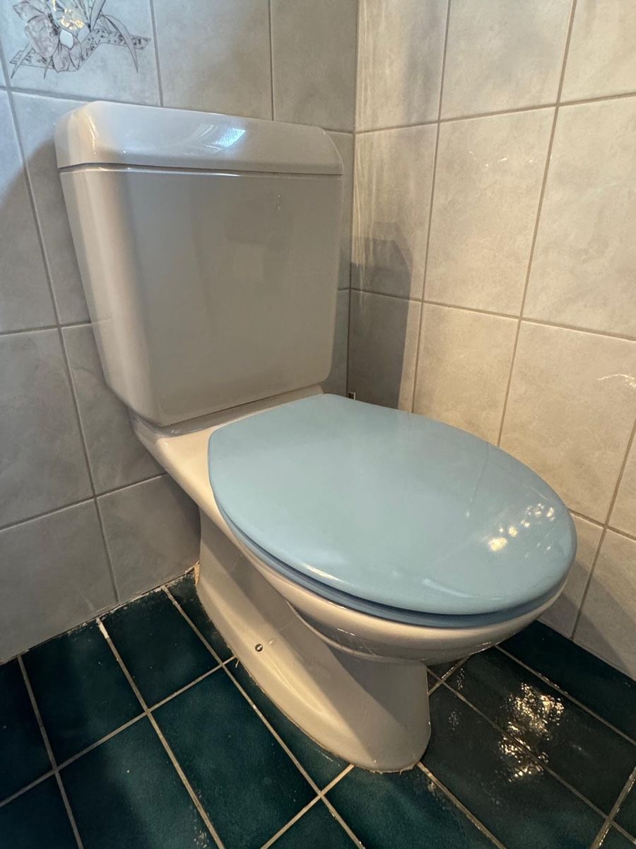 WC: Toilette – D'occasion à Bäretswil par bogiundreto