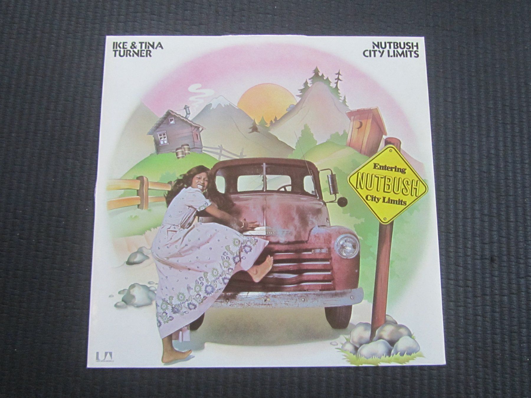 Schallplatten: IKE & TINA TURNER:   Nutbush City Limits – Gebraucht aus Seengen von mikelele