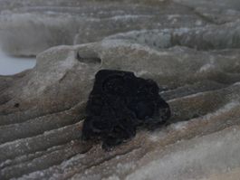 Tektite roh