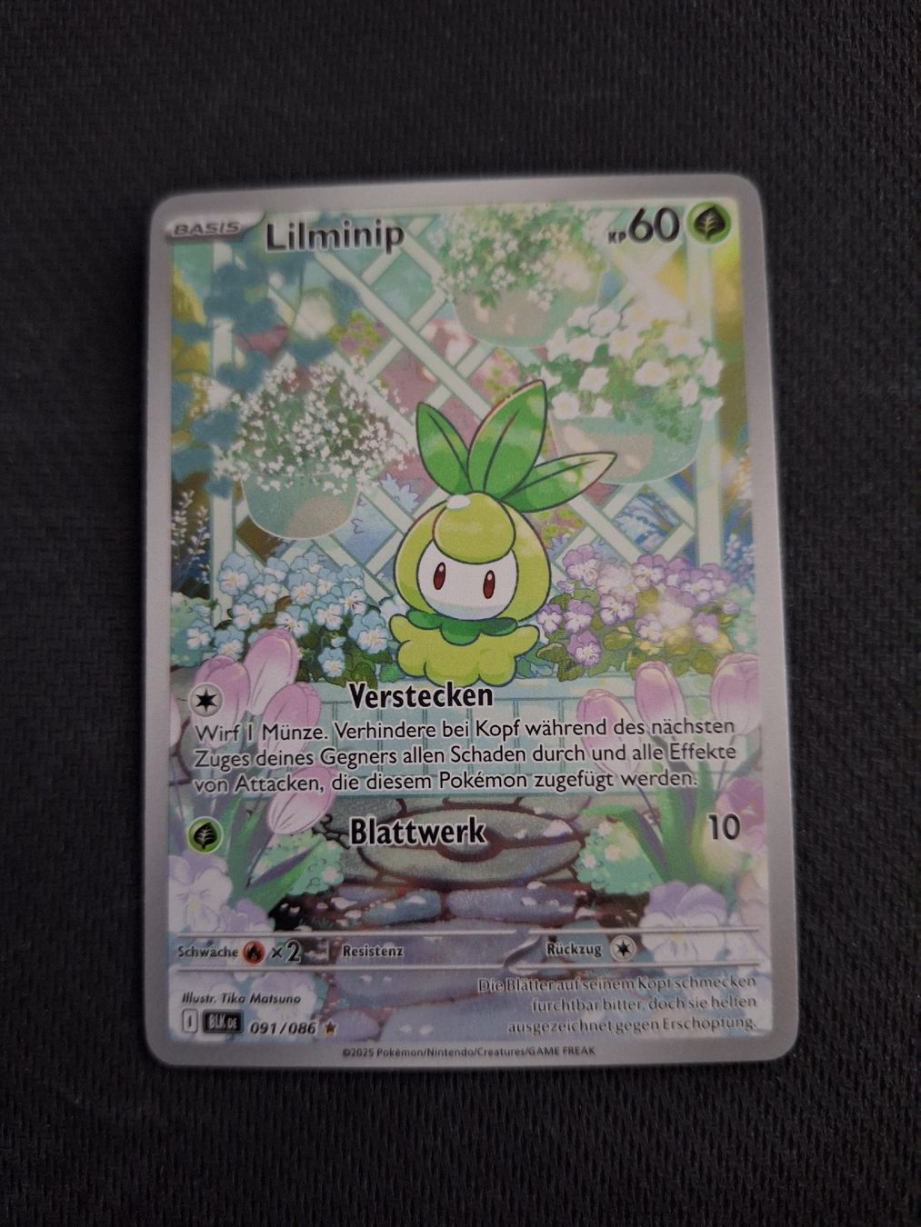 Pokémon Carte collezionabili: Pokemon Karte (BLK 91) – Nuovo (secondo la descrizione) da Obernau venduto da gig_g7j8