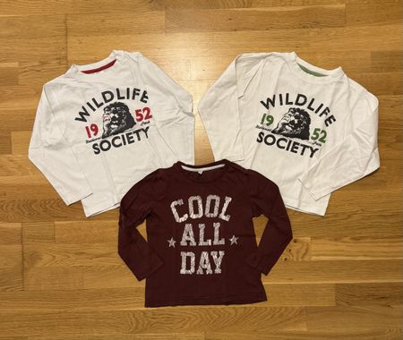 3 Langarmshirts, Gr. 110, Top Zustand