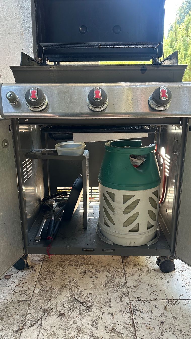 Weber Grils: Weber Genesis Grill – D'occasion à Neuenhof par tanzmaus 3