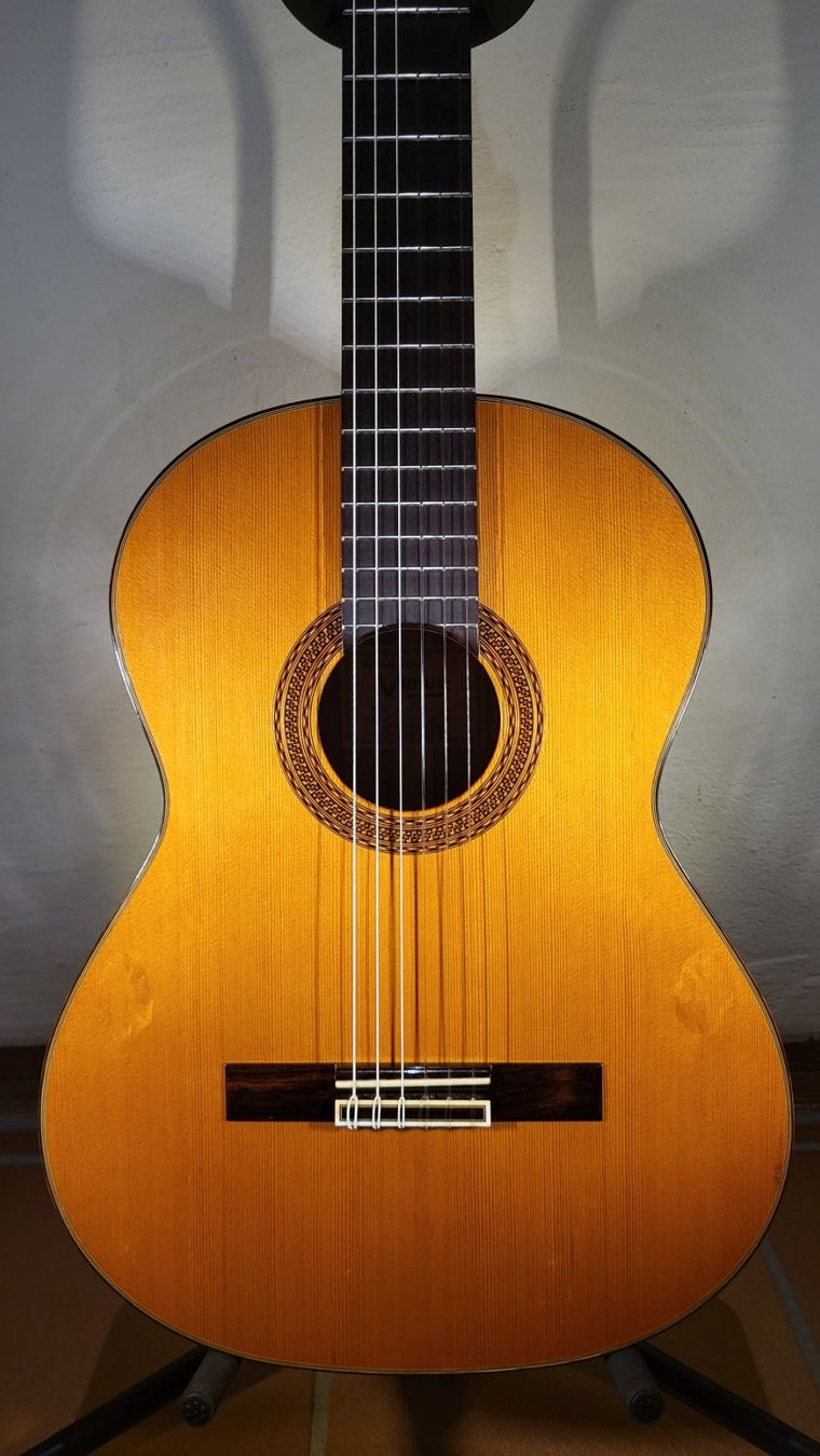 Strumenti musicali: Akustik Gitarre Vimus 18 – Usato da Winterthur venduto da NorrSydGuitars 5