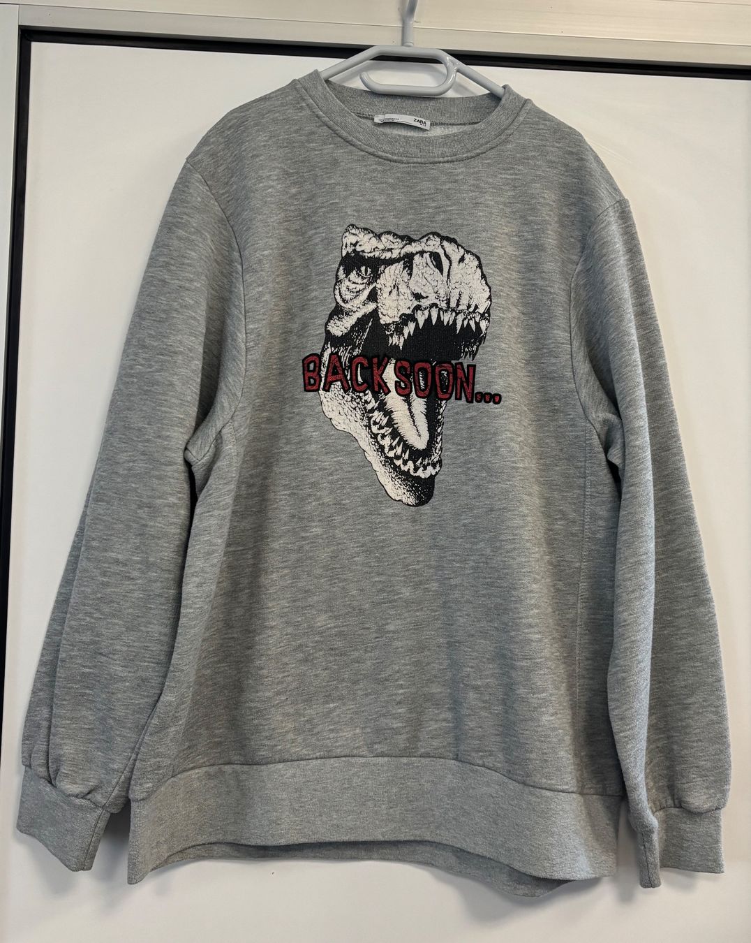 Zara Maglioni & Felpe: Cooler Pullover Zara S/M – Usato da Brügg BE venduto da rutschimedizin
