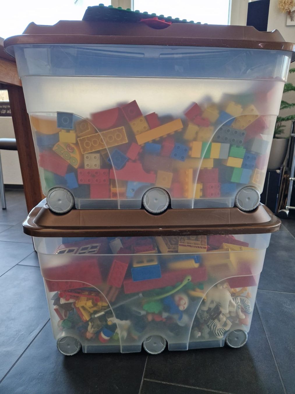 Lego Giocattoli: Lego Duplo zwei Boxen und vier Platten – Usato da Schötz venduto da protea84 7