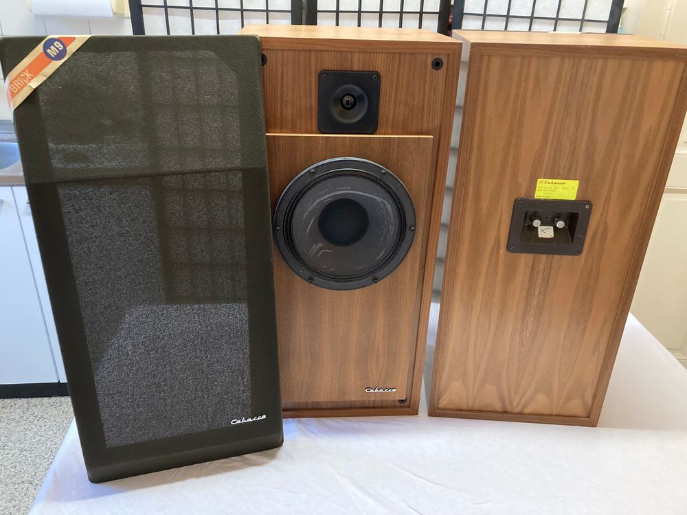 Enceinte Cabasse BRICK 265.6, Avec Fil, Révisée Et Garantie 1 An, Très Bon état