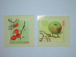 2006