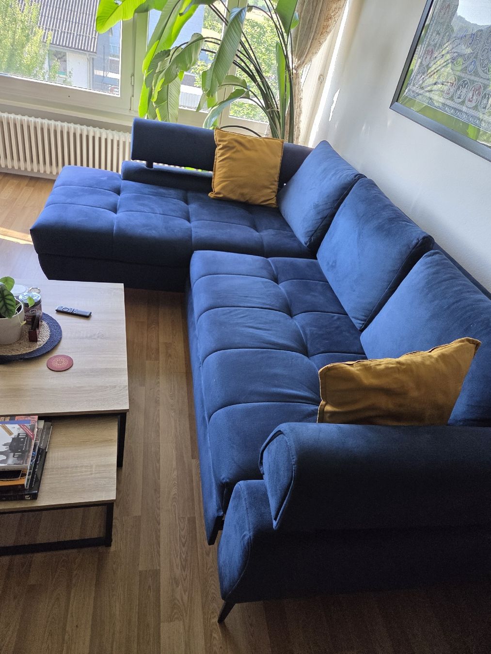 Conforama Divani: Velvet Sofa in pristine condition – Nuovo (secondo la descrizione) da Olten venduto da pan_l2rt 2