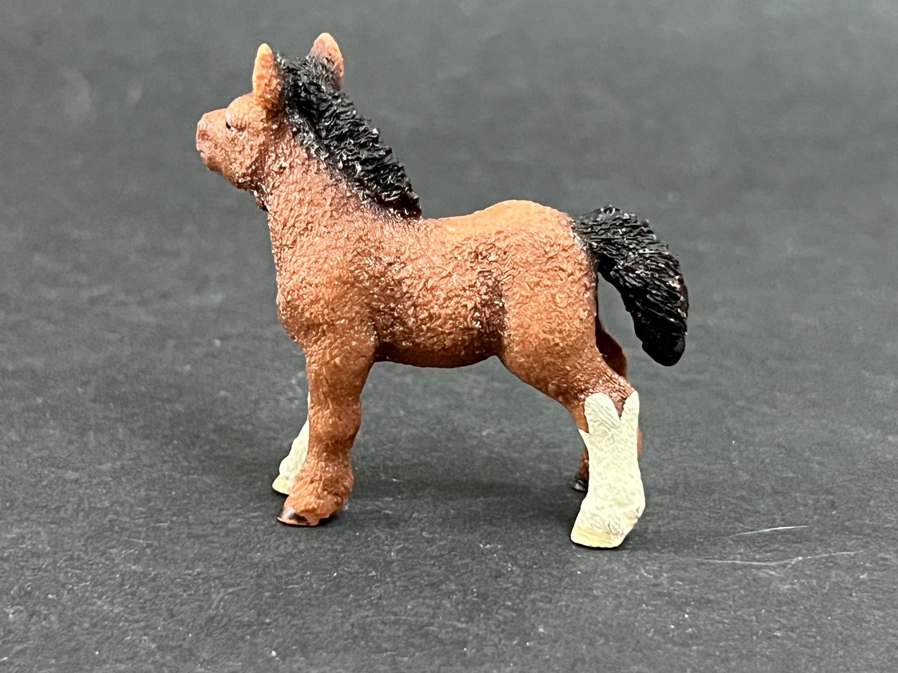 Schleich Statuette: Schleich Mini Shetty Horse Club – Usato da Ennetbaden venduto da mapa05 2