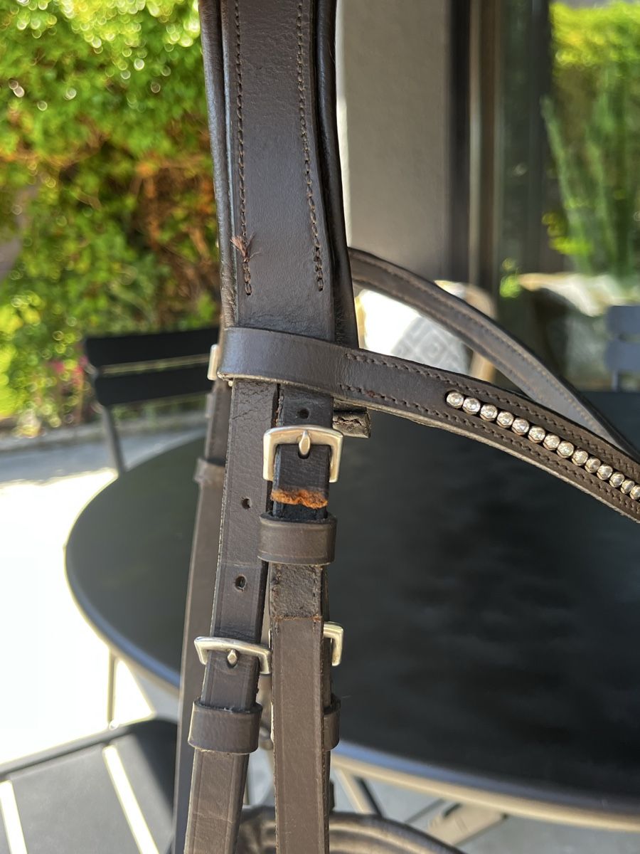Felix Bühler Briglie & Cavezze: Bride en cuir brun avec strass taille cob – Usato da Le Landeron venduto da emm_q6yt 2