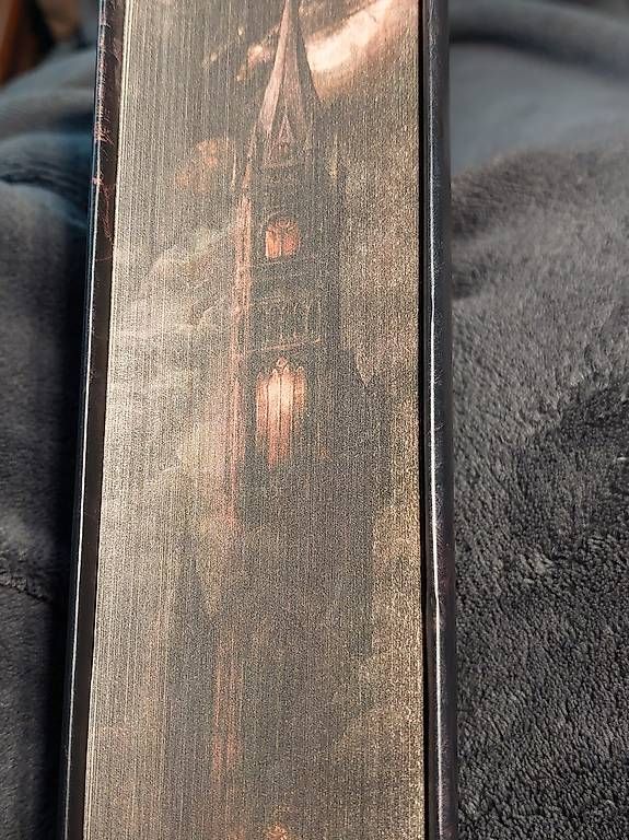 Libri: Alchemised Festeinband – Usato da Rothrist venduto da lil_6mn9 1