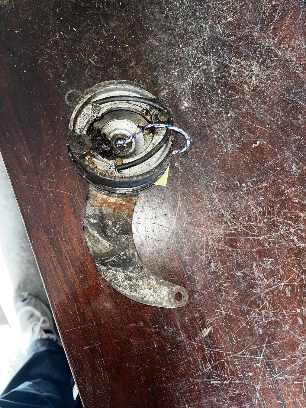 Sachs Parti ricambio per ciclomotori: Sachs Mofa Rücktritt Bremsankerplatte – Usato da Fahrni b. Thun venduto da berger_tuning34 1