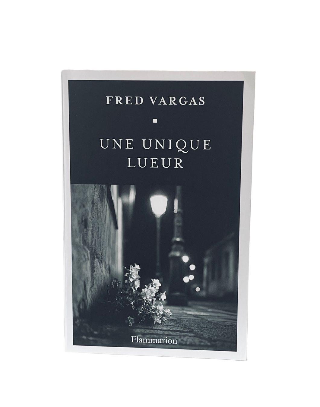 Bücher: Fred VARGAS "Une Unique Lueur" – Neu (gemäss Beschreibung) aus Genève von Bazarare
