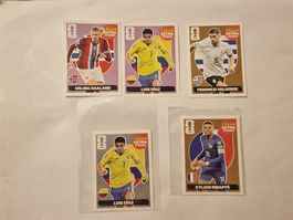 Panini WM 2026 extra Stickers