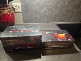2 Displays / MTG Dungeons & Dragons Forgotten realms