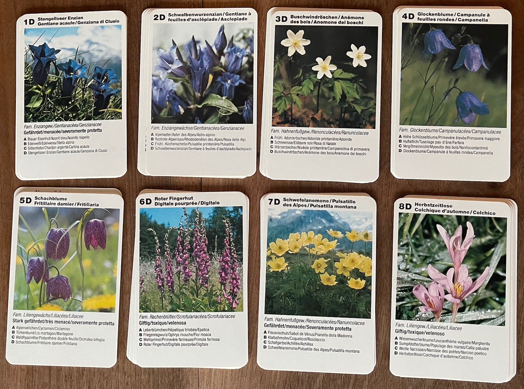 Giochi: Blumen - Fleurs - Fiori, Super Top Quartett – Nuovo (secondo la descrizione) da Burgdorf venduto da Bsb7 1