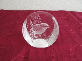 Mats Jonasson kleiner Zaunkönig, 9203