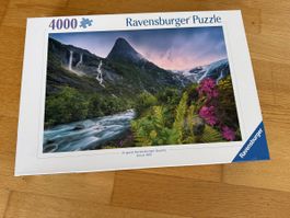 Ravensburger Puzzle 4000 Teile Gebirge Fluss neu